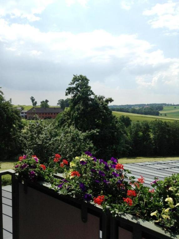 1A Landhotel Schicklberg Kremsmünster Exterior foto